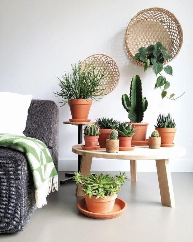 Blumen auf dem Tisch im Wohnzimmer