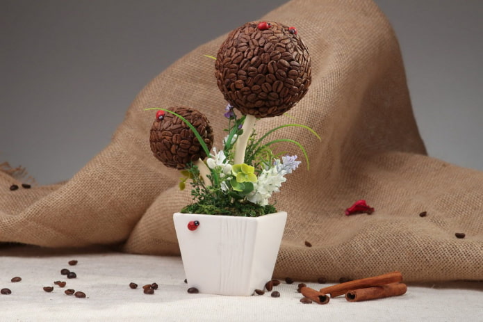 Doppelter Kaffeebaum