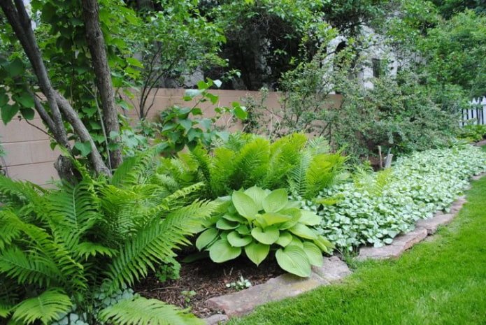 Pflegeleichter Garten