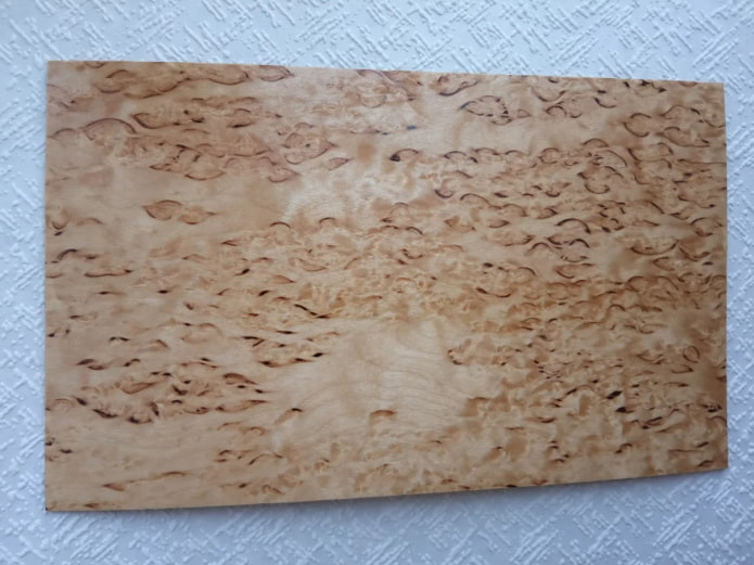 Textur der Karelischen Birke