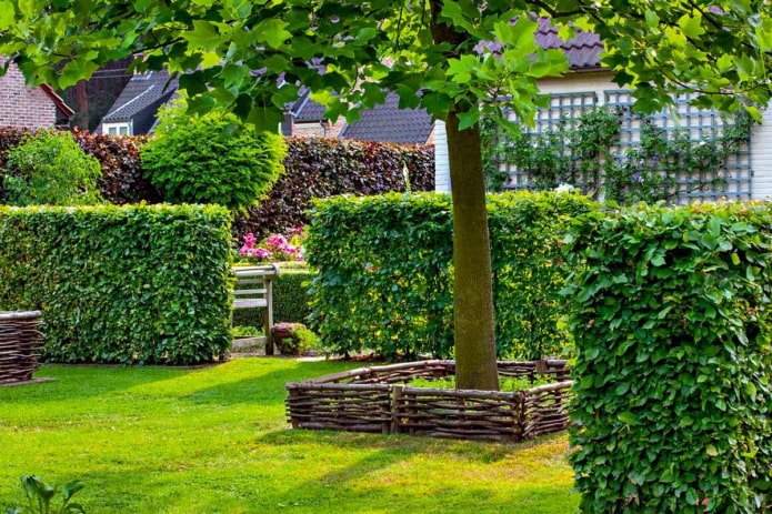 Zonierung mit einer Hecke