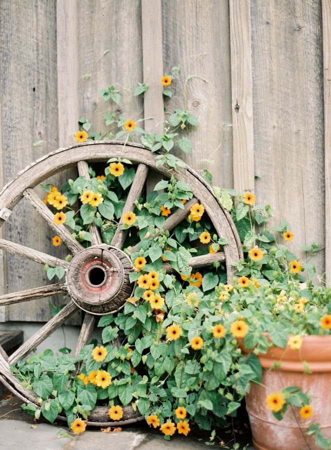 Rad mit Blumen