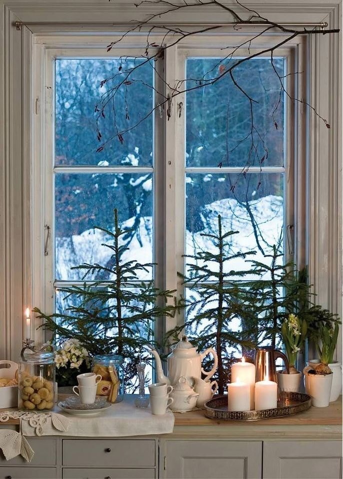 Lebende Weihnachtsbäume auf der Fensterbank