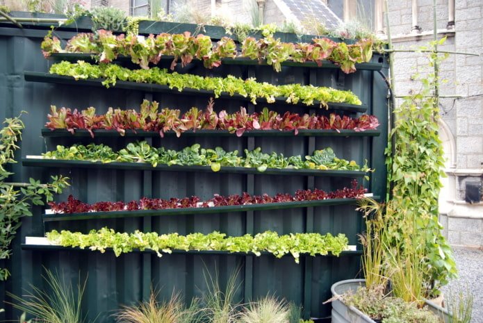 Garten und Gemüsegarten am Zaun