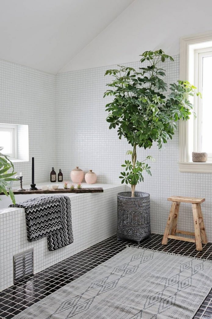 Pflanzen im Badezimmer
