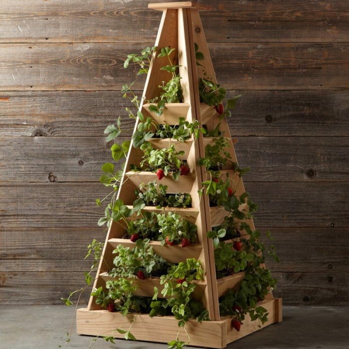 Erdbeeren in einem vertikalen Blumenbeet