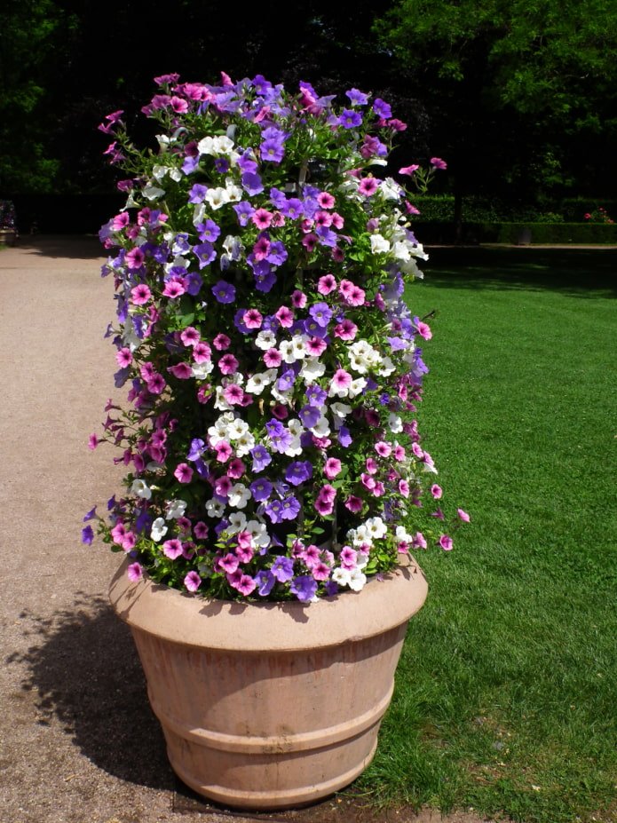 Vertikales Blumenbeet