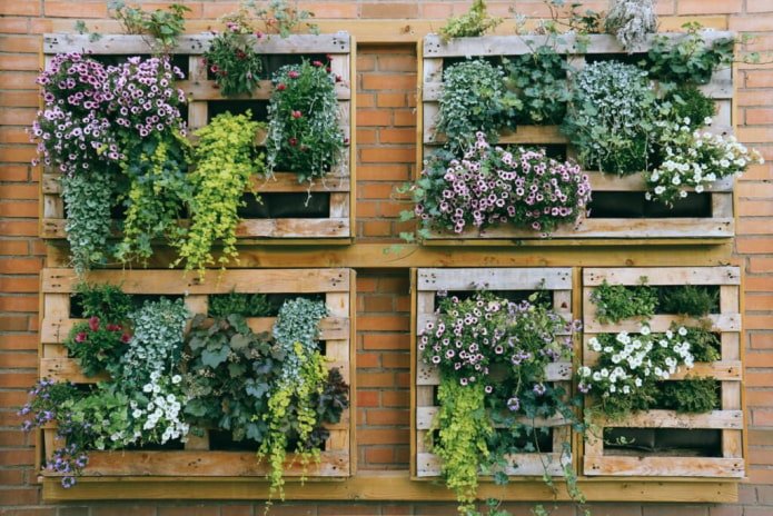 Vertikale Blumenbeete auf einem Zaun
