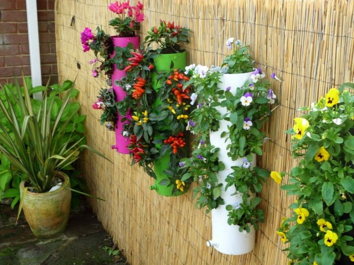 Blumenbeete am Zaun