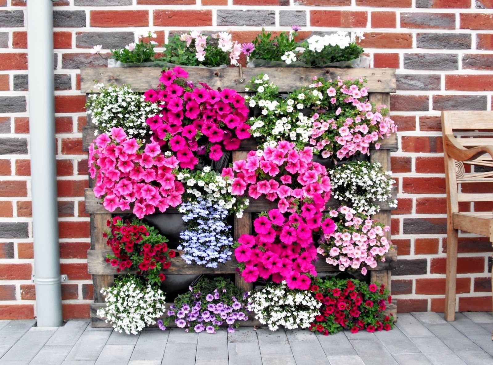 Wie gestaltet man ein vertikales Blumenbeet?
