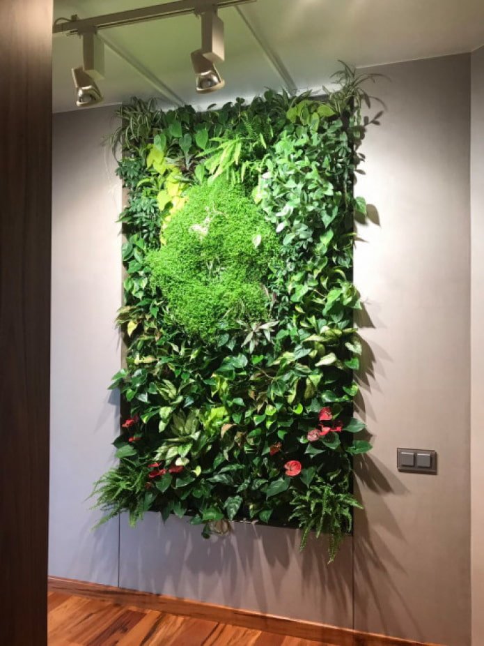 Phytopanel aus Weinreben