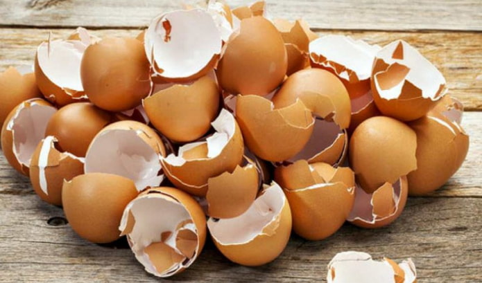 Eierschale