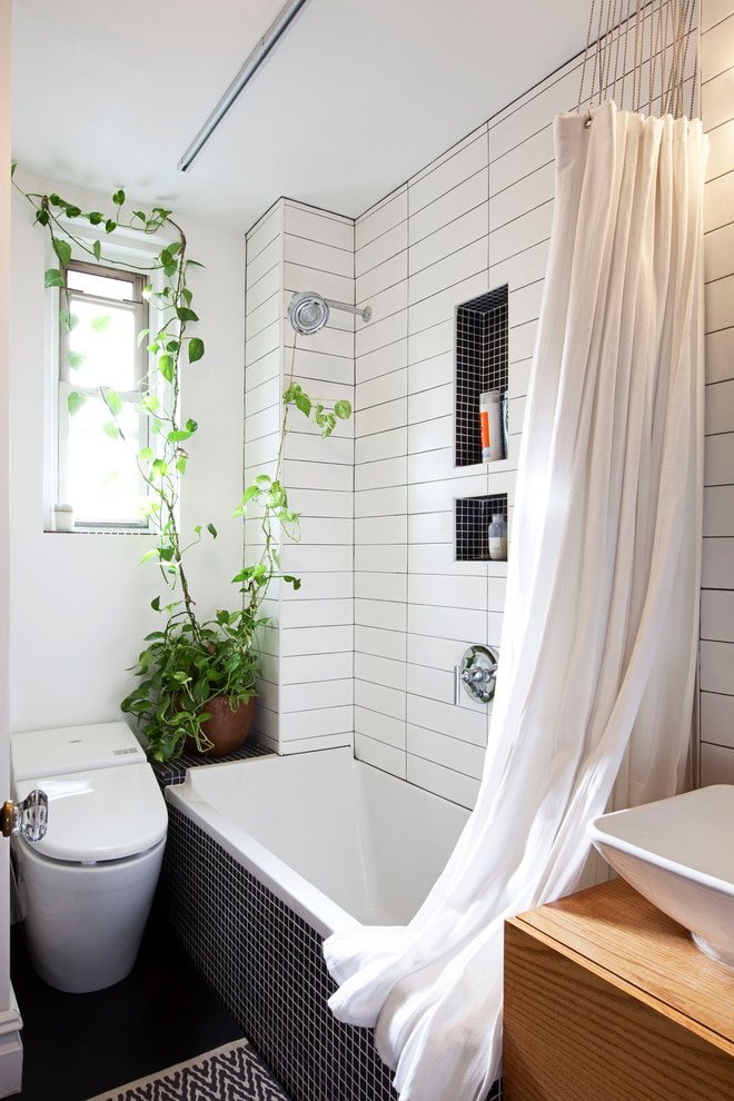Philodendron im Badezimmer
