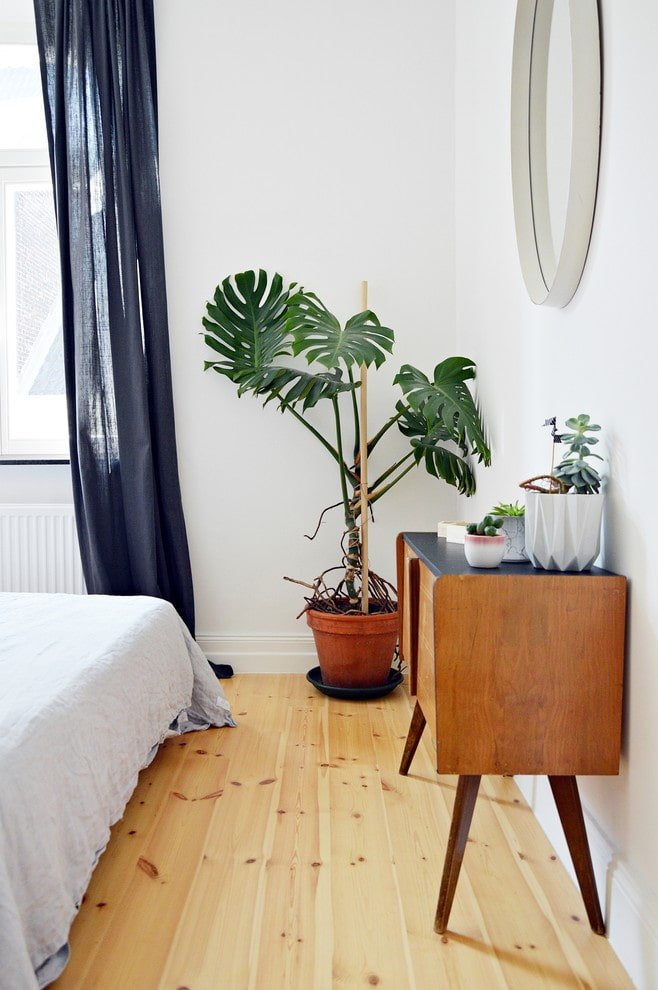 Monstera im Schlafzimmer