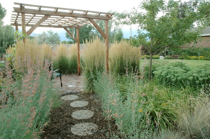 Getreide neben der Pergola