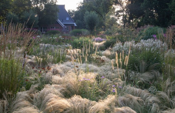 Steppengarten