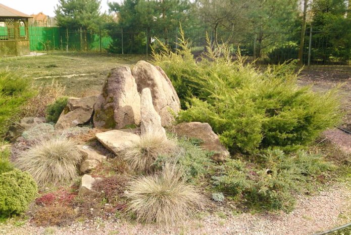 Steingarten mit Getreide