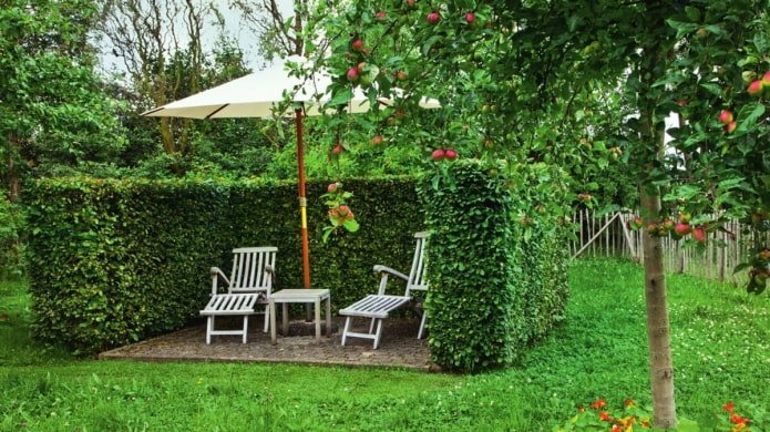 Ruhebereich hinter einer Hecke