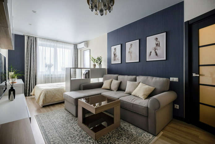 Geräumige Einzimmerwohnung mit Bett